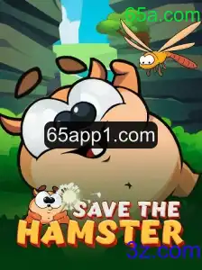 Explorando o Universo de SavetheHamster: Um Guia Completo